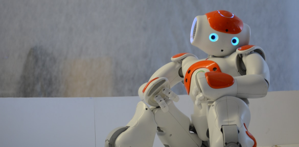 An Introduction to Customer Service Robots 